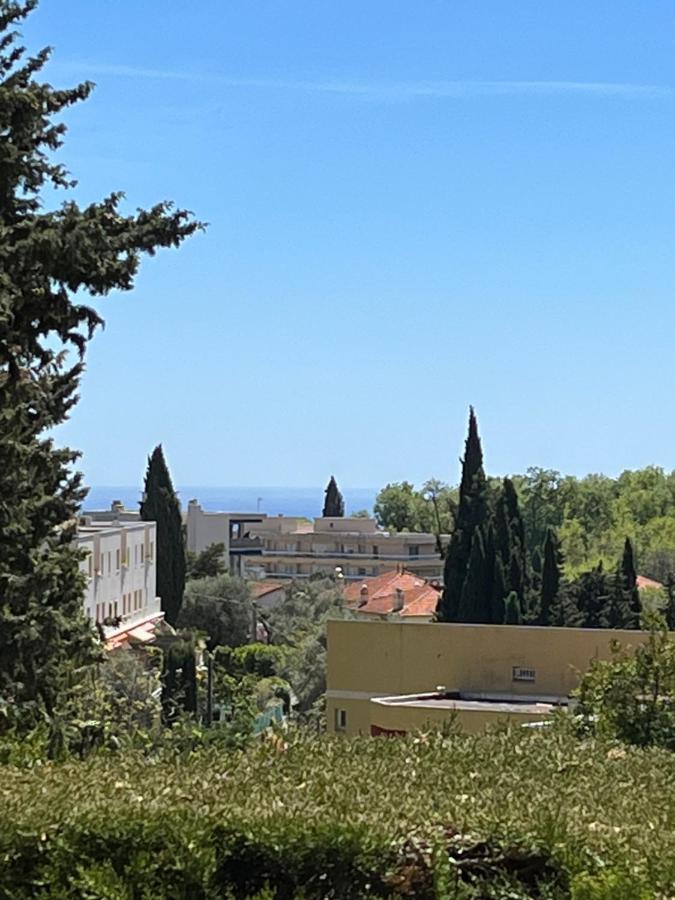 Charmant Studio Avec Terrasse Et Parking A Vence Bagian luar foto
